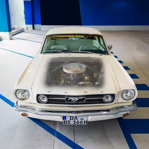 Ford Mustang Baujahr 65 weiß Oldtimer Landschaft Motorhaube