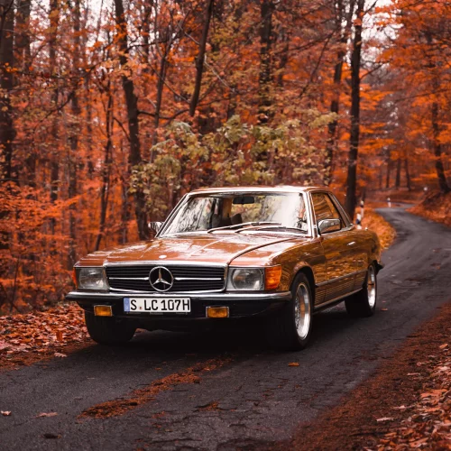 Mercedes Benz Oldtimer Braun Herbst Wald